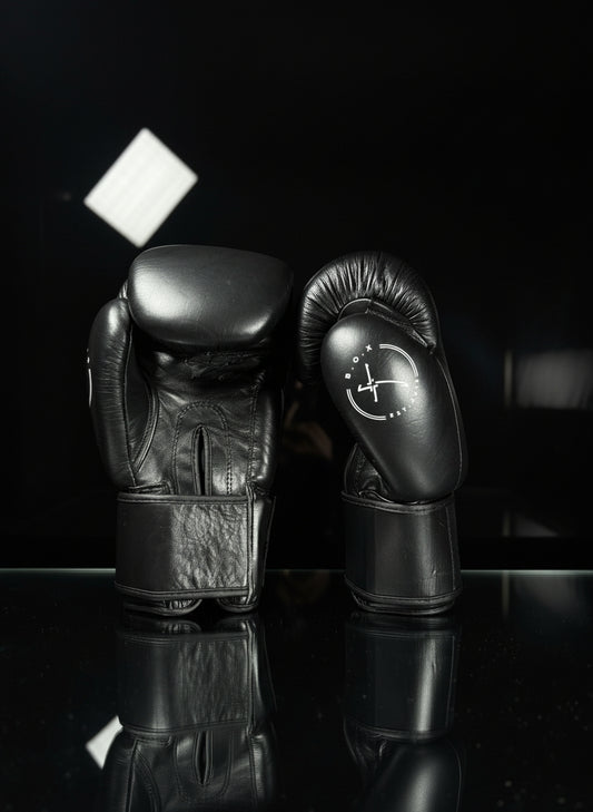 Boxhandschuhe Black Ice aus echtem Leder, ein Handschuh in Rückansicht der andere in Vorderansicht mit weißem Logo strapazierfähige Premium Ausrüstung für Boxen und Kickboxen