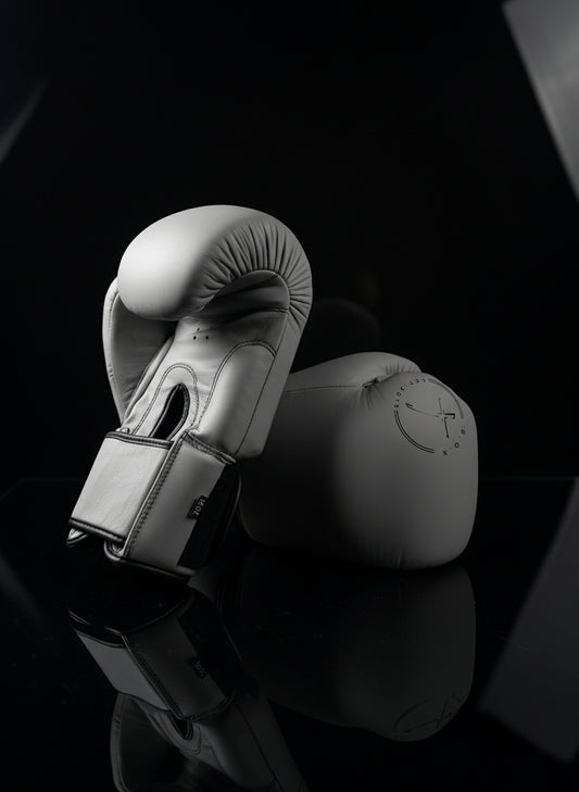 Boxhandschuhe in Asphalt Grey aus echtem Leder, ein Handschuh seitlich der andere in Rückansicht, Logo sichtbar strapazierfähige Ausrüstung für Boxen und Kickboxen