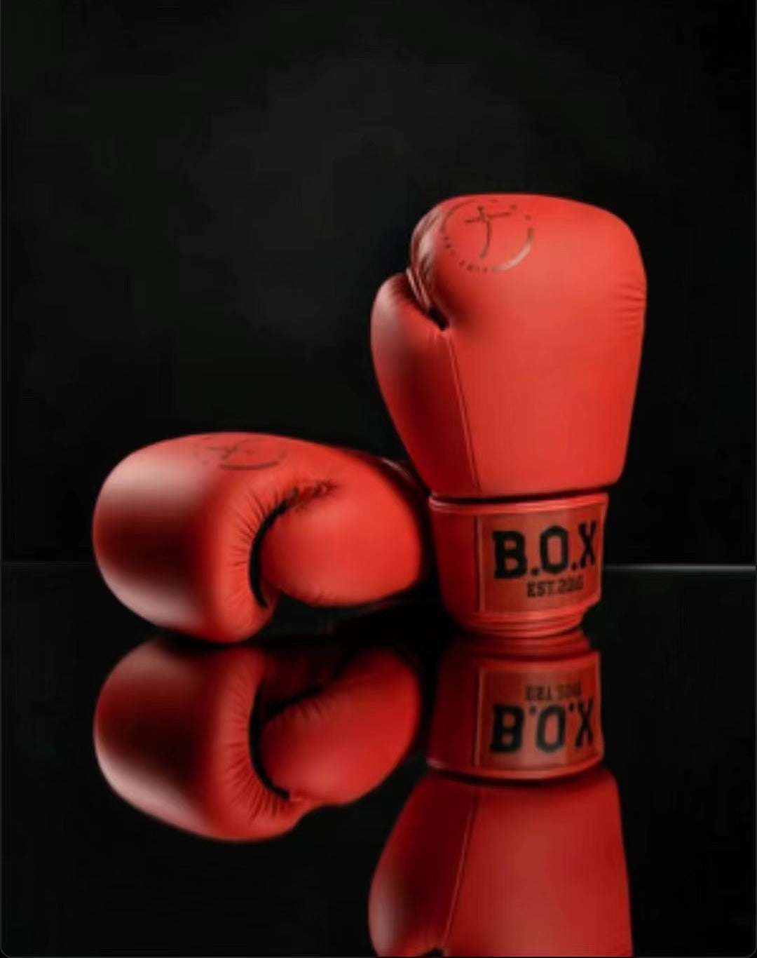 Video laden: Produkt Video mit Premium Boxhandschuhen und passenden Schienbeinschoner aus Echtleder sowie dem kompletten Set, präsentiert im edlen Studio Look auf schwarzem, glänzendem Untergrund mit Spiegelung.